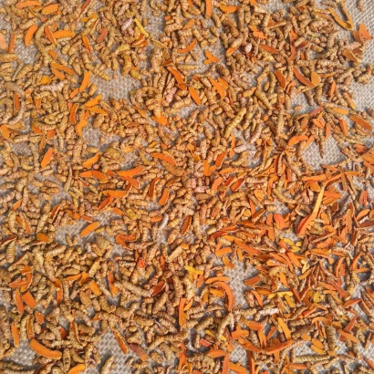 Sun-dried turmeric