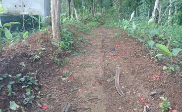 Soil health and Organic Farming ecosystem