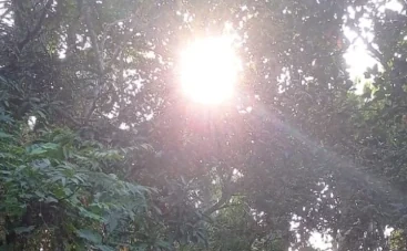 Sun - The Source of All Energy