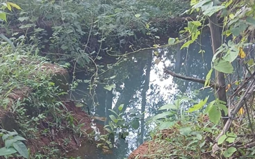 Traditional water conservation in Kerala farm