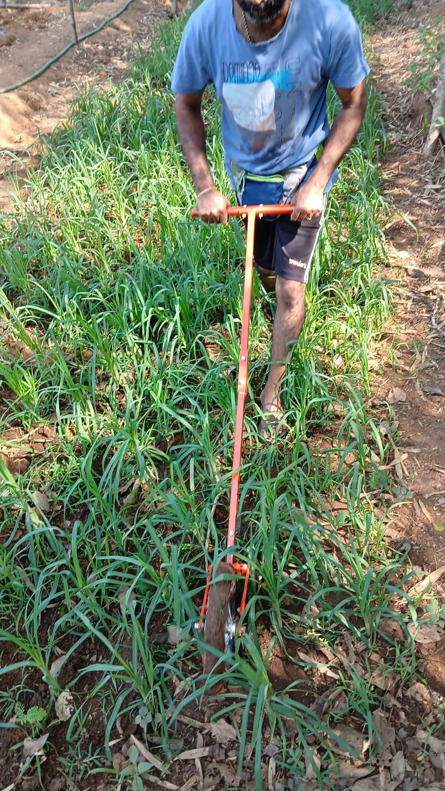 Weeding with a cycle weeder