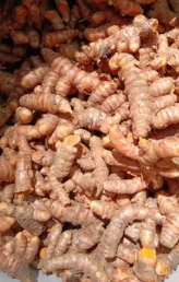 Turmeric
